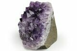 Free-Standing, Amethyst Crystal Cluster - Uruguay #237661-2
